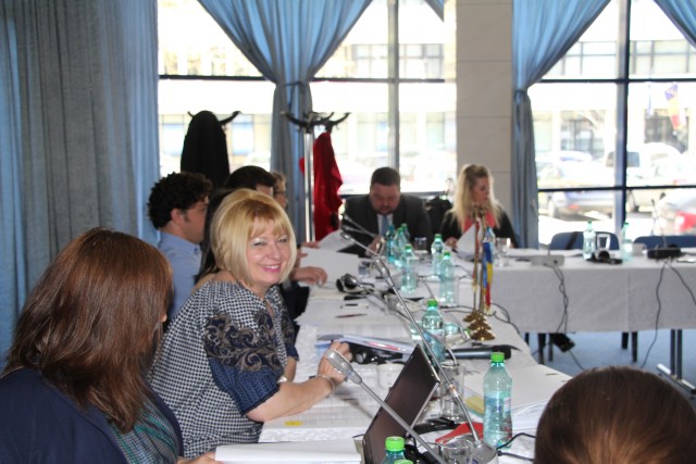 11th JWG meeting -  Arad, 21-22 April 2015